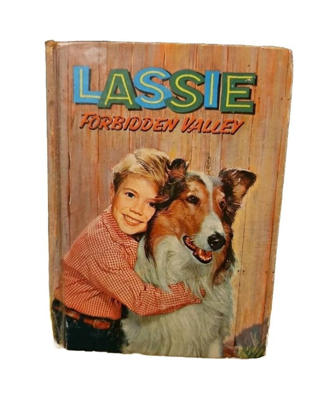 Vtg LASSIE : FORBIDDEN VALLEY ~ Doris Schroeder ~ 1508 Whitman 1959 HC